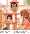 A cat playing on a cat tower and a girl watching over it 116070255