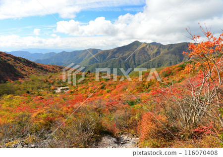 那須山脈盛開、秋葉 那須山脈盛開、秋葉 116070408