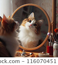 A cat tilting its head curiously while looking in the mirror 116070451