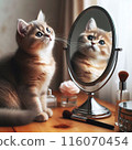 A cat tilting its head curiously while looking in the mirror 116070454