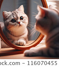 A cat tilting its head curiously while looking in the mirror 116070455