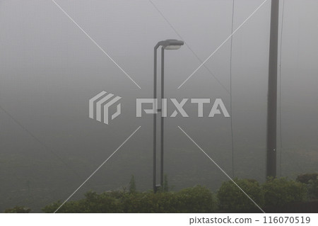 朝霧壘球場 116070519