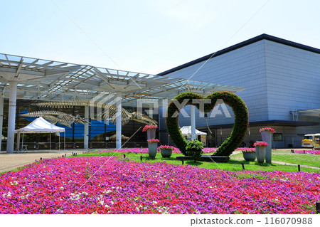 Osaka City Nagai Botanical Gardens, Large Flower Bed 116070988