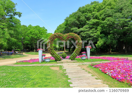 Osaka City Nagai Botanical Gardens, Large Flower Bed 116070989