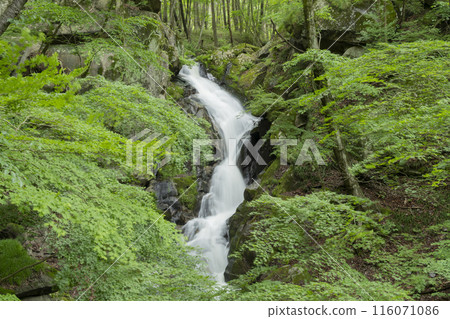 Choshi mouth of the Takigawa Valley Choshi mouth of the Takigawa Valley 116071086