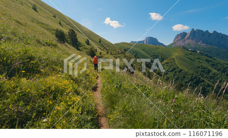 A man on a mountain hiking trail, climbing uphill with an orange backpack. Sunny day with clear blue sky, surrounded by green grass and colorful wildflowers. Steep rocky mountains loom in background. 116071196