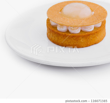 Elegant gourmet tart on white plate 116071385