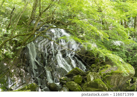 Waterfall of Egyutada Waterfall of Egyutada 116071399