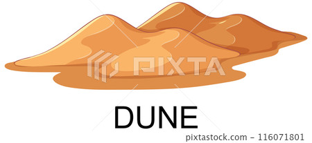 Desert Sand Dune Illustration 116071801