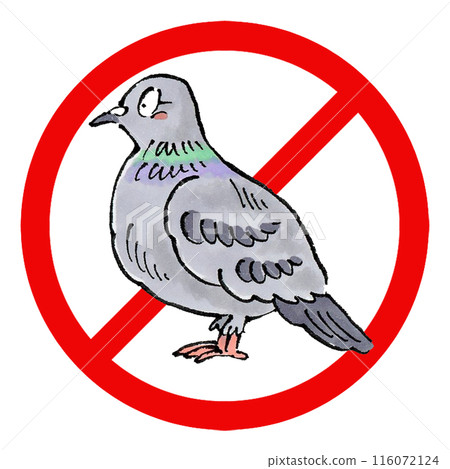 Pigeon prohibition sign 116072124