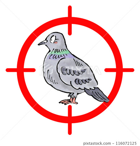 Pigeon target mark 116072125