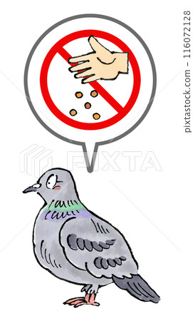No feeding pigeons sign 116072128