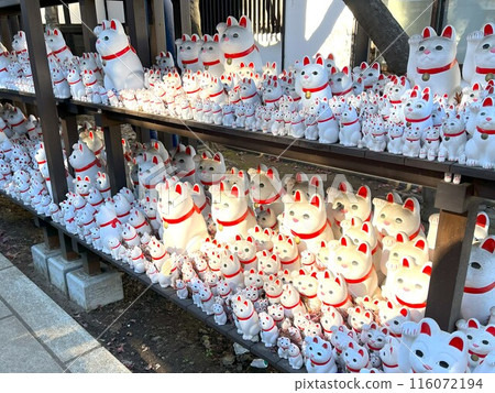 The lucky cat of Futatsukuji The lucky cat of Futatsukuji 116072194