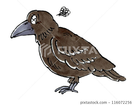 來的烏鴉 116072256