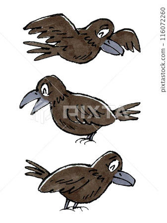 3隻微笑的烏鴉 116072260