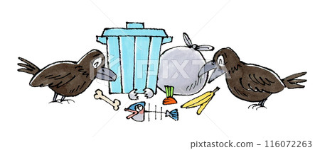 Crows and the garbage dump 116072263