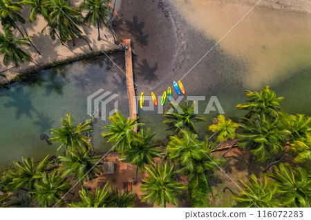 Aerial top view on tropical beach with green palm trees under sunlight Drone view in Goa Aerial top view on tropical beach with green palm trees under sunlight Drone view in Goa 116072283