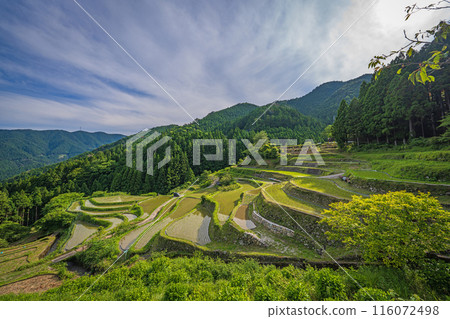 [Tokushima] Kashihara Rice Terraces [Kamikatsu Town] 116072498