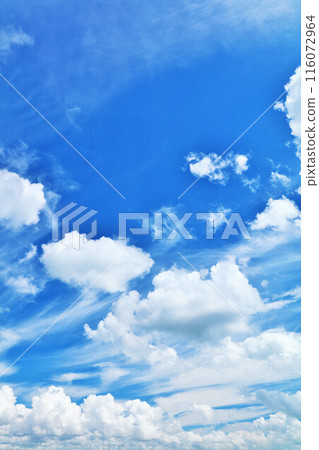 Summer blue sky and clouds 116072964