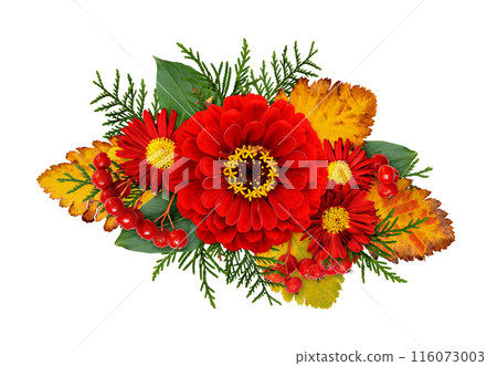 Autumn composithion with zinnia, chrysanthemum flowers, berries and seasonal leaves isolated 116073003