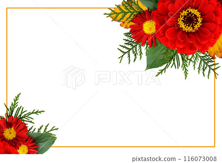 Autumn corner composithions with zinnia, chrysanthemum flowers and seasonal leaves with ginger frame isolated on white 116073008