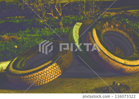 Evening.Old car tires used to create flower beds, street decor, fence Evening.Old car tires used to create flower beds, street decor, fence 116073322