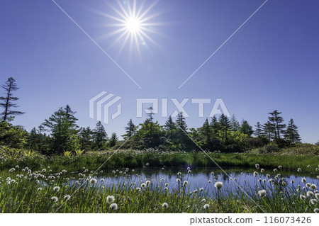 Kusatsu Onsen Hogadaira Marsh Hiking in early summer 116073426