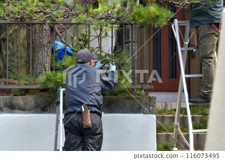 Senior gardener: Selecting a home 116073495