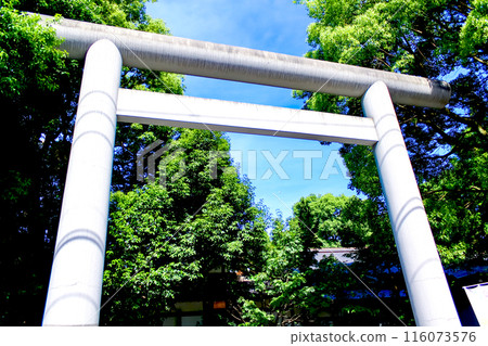 [Tokyo] Asagaya Shinmei Shrine in early summer - A close-up look at the west great torii gate 116073576