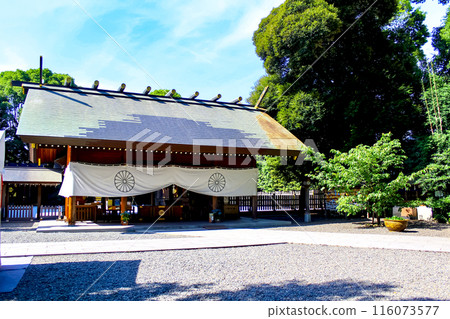 [Tokyo] Asagaya Shinmei Shrine in early summer - worship hall and blue sky 116073577