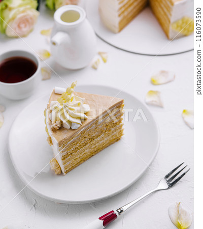 Elegant layered cake slice on a white plate 116073590