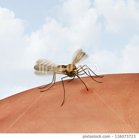 Dengue Fever 116073723