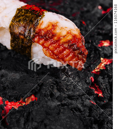 Gourmet sushi on lava background 116074168