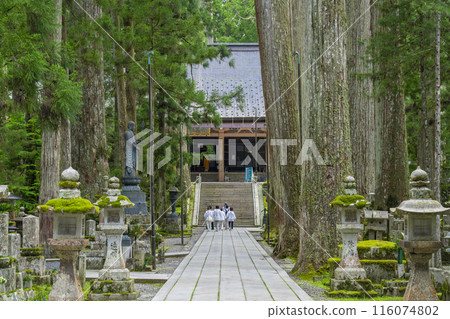 從戈比亞橋上看到的高野山奧之院陵墓 從戈比亞橋上看到的高野山奧之院陵墓 116074802