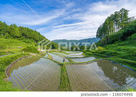 [德島]上勝町的風景 116074998