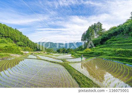 [德島]上勝町的風景 116075001