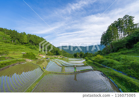 [Tokushima] Landscape of Kamikatsu Town 116075005