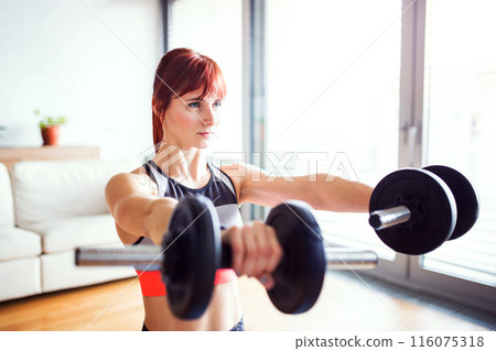 Beautiful redhead woman's home workout routine with dumbbell. Home fitness workout in living room, sporty woman wearing sportswear. Beautiful redhead woman's home workout routine with dumbbell. Home fitness workout in living room, sporty woman wearing sportswear. 116075318