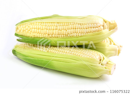 玉米(白井惠美) 玉米(白井惠美) 116075322