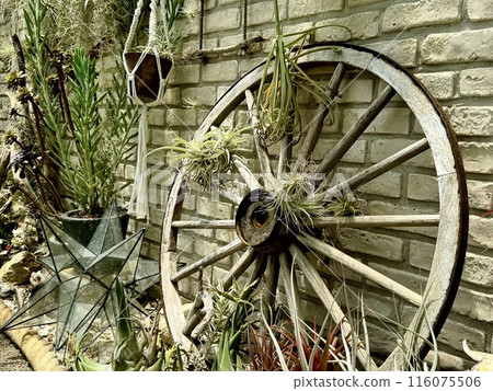 Stylish antique garden 116075506