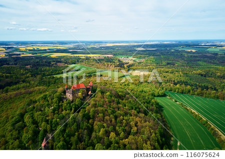 Nature landscape with Grodziec Castle surrounded by blooming agricultural fields and green forest, aerial view. Old historical fortress. Famous touristic place in Lower Silesia, Poland 116075624
