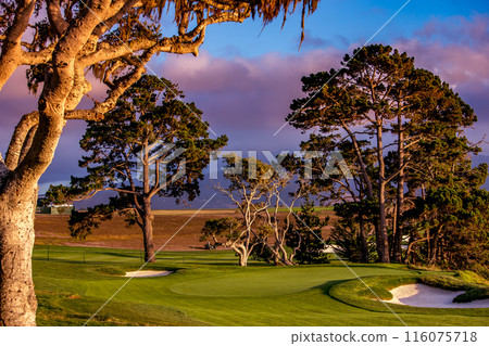 Pebble Beach golf course, Monterey, California, usa 116075718