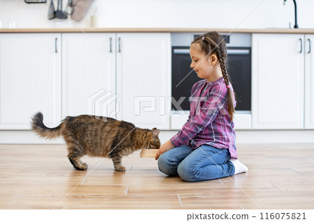 Little girl feeding cat in bright modern kitchen Little girl feeding cat in bright modern kitchen 116075821