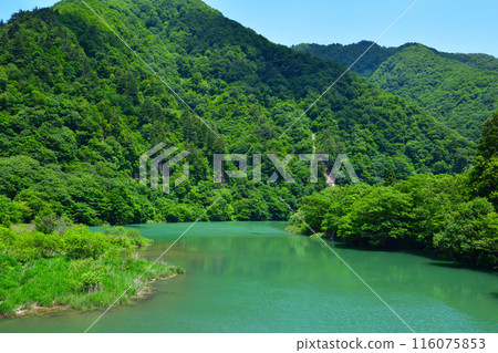 富山縣莊川菅沼市 富山縣莊川菅沼市 116075853