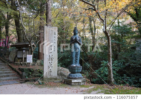 龍藏寺 秋天 龍藏寺 秋天 116075857