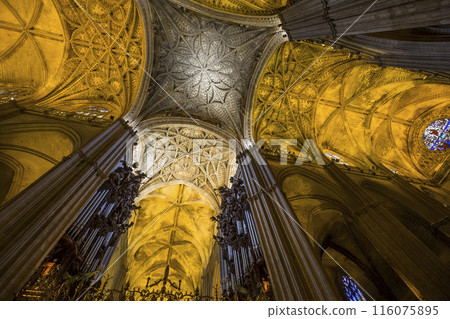 interiors of Seville cathedral, Seville, Andalusia, spain 116075895
