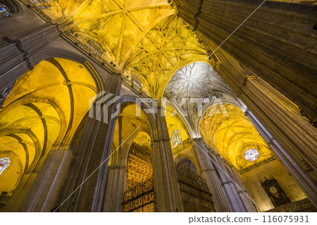interiors of Seville cathedral, Seville, Andalusia, spain 116075931