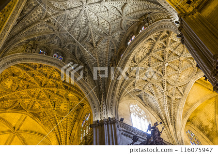 interiors of Seville cathedral, Seville, Andalusia, spain 116075947