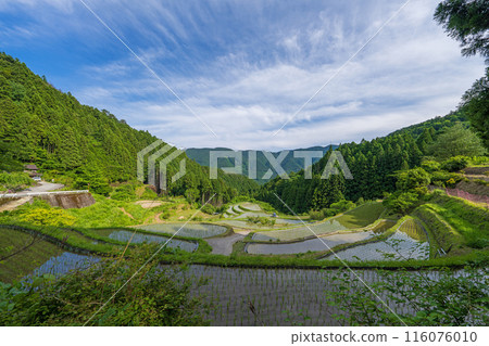 [Tokushima] Kashihara Rice Terraces [Kamikatsu Town] 116076010