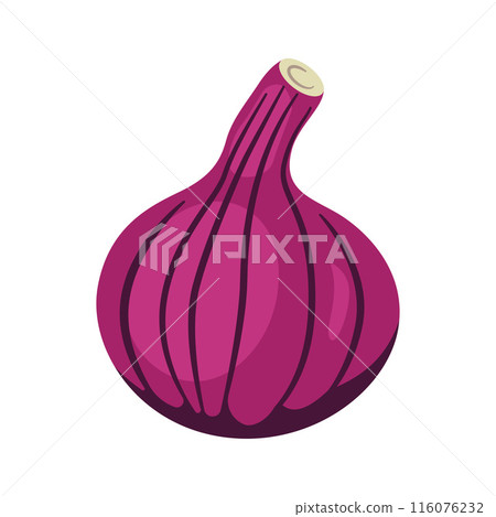 Vector Design of Whole Round Fresh Red Onion Food Vegetable Vector Design of Whole Round Fresh Red Onion Food Vegetable 116076232